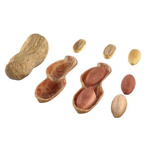 3D Peanut collection