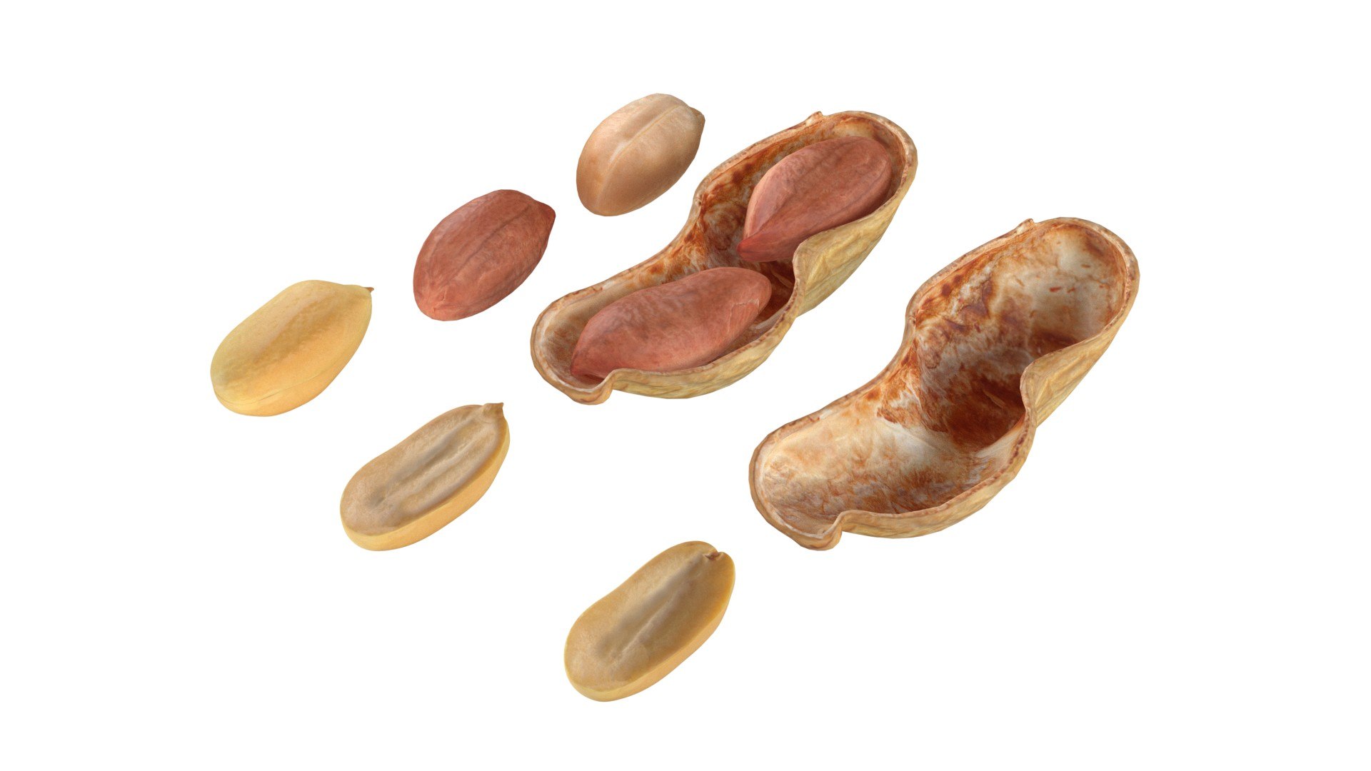 3D Peanut Collection - TurboSquid 2397406