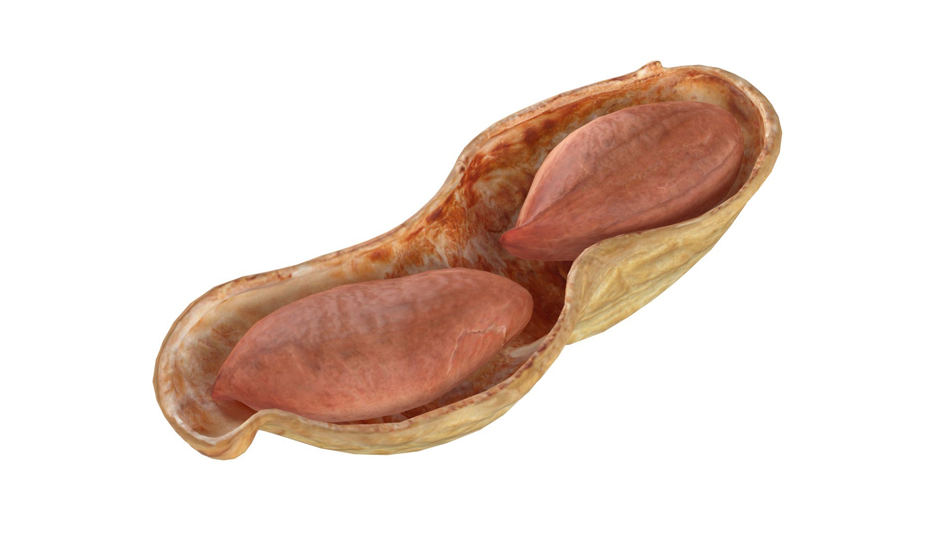 3D Peanut Collection - TurboSquid 2397406