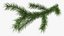 3D green pine branch