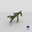 3D green pine branch