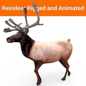 reindeer rigged animation 3D model