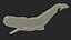 Toothed Whale Cachalot Eating Pose