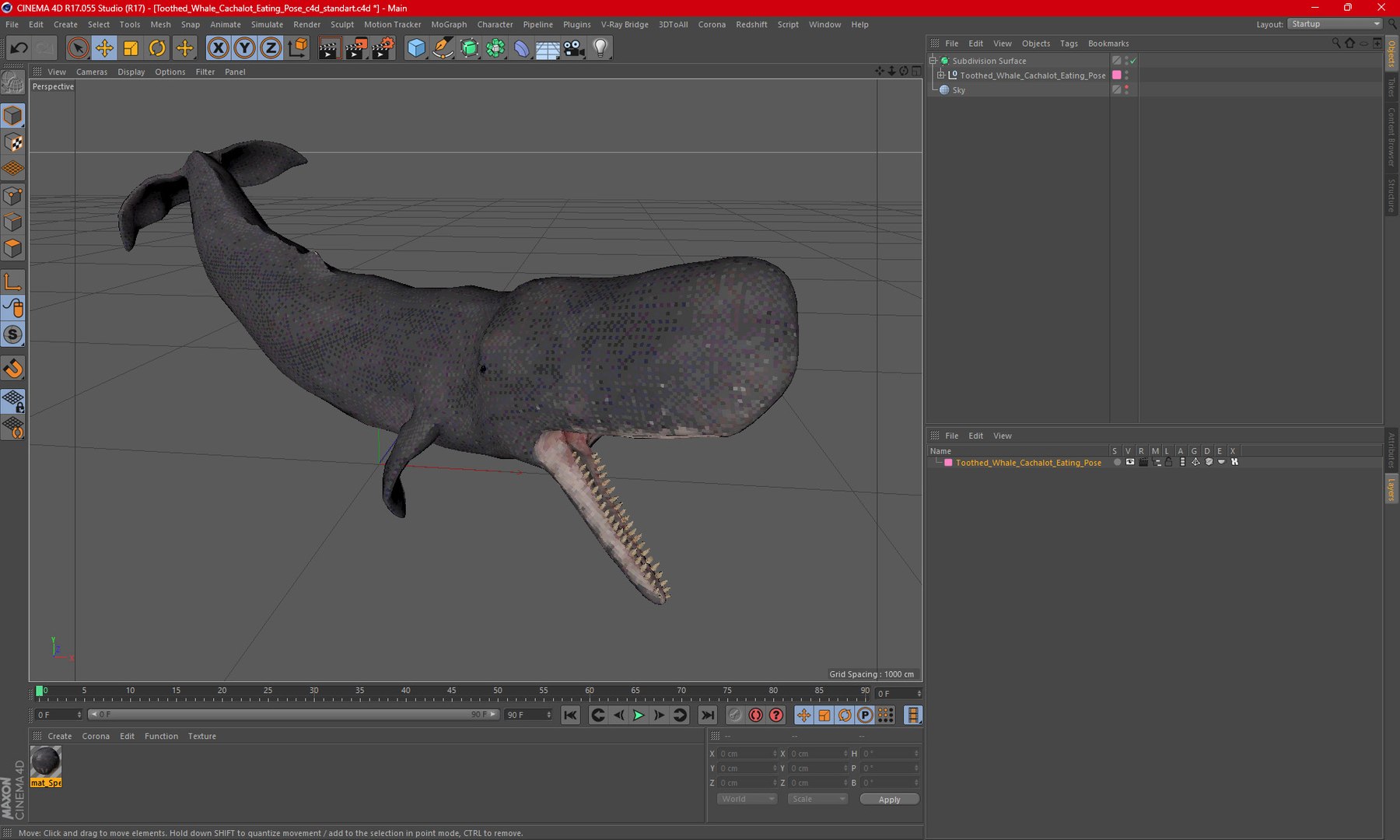 Toothed Whale Cachalot Eating Pose 3D model https://p.turbosquid.com/ts-thumb/Ct/TLzoya/ld/toothedwhalecachaloteatingposemb3dmodel018/jpg/1697065934/1920x1080/fit_q87/5be4ea186e9e0289681c95e283c0a92632a84677/toothedwhalecachaloteatingposemb3dmodel018.jpg