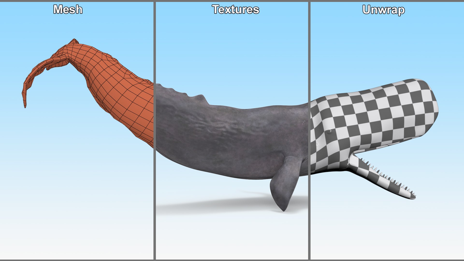 Toothed Whale Cachalot Eating Pose 3D model https://p.turbosquid.com/ts-thumb/Ct/TLzoya/oZ/toothedwhalecachaloteatingposemb3dmodel012/jpg/1697065910/1920x1080/fit_q87/8b3343ff5b6d3bc29c1df7f68e4b24db2398cf61/toothedwhalecachaloteatingposemb3dmodel012.jpg