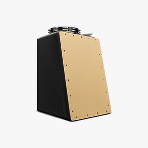 Cajon Acoustic with Acessories 3D model