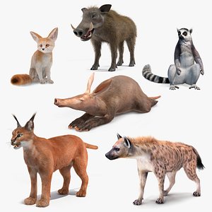 African Mammals Fur Collection 3 3D