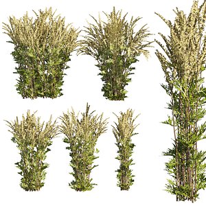 Collection plant vol 367 - bush - COMMON MUGWORT - leaf - outdoor  - blender - 3dmax - cinema 4d 3D