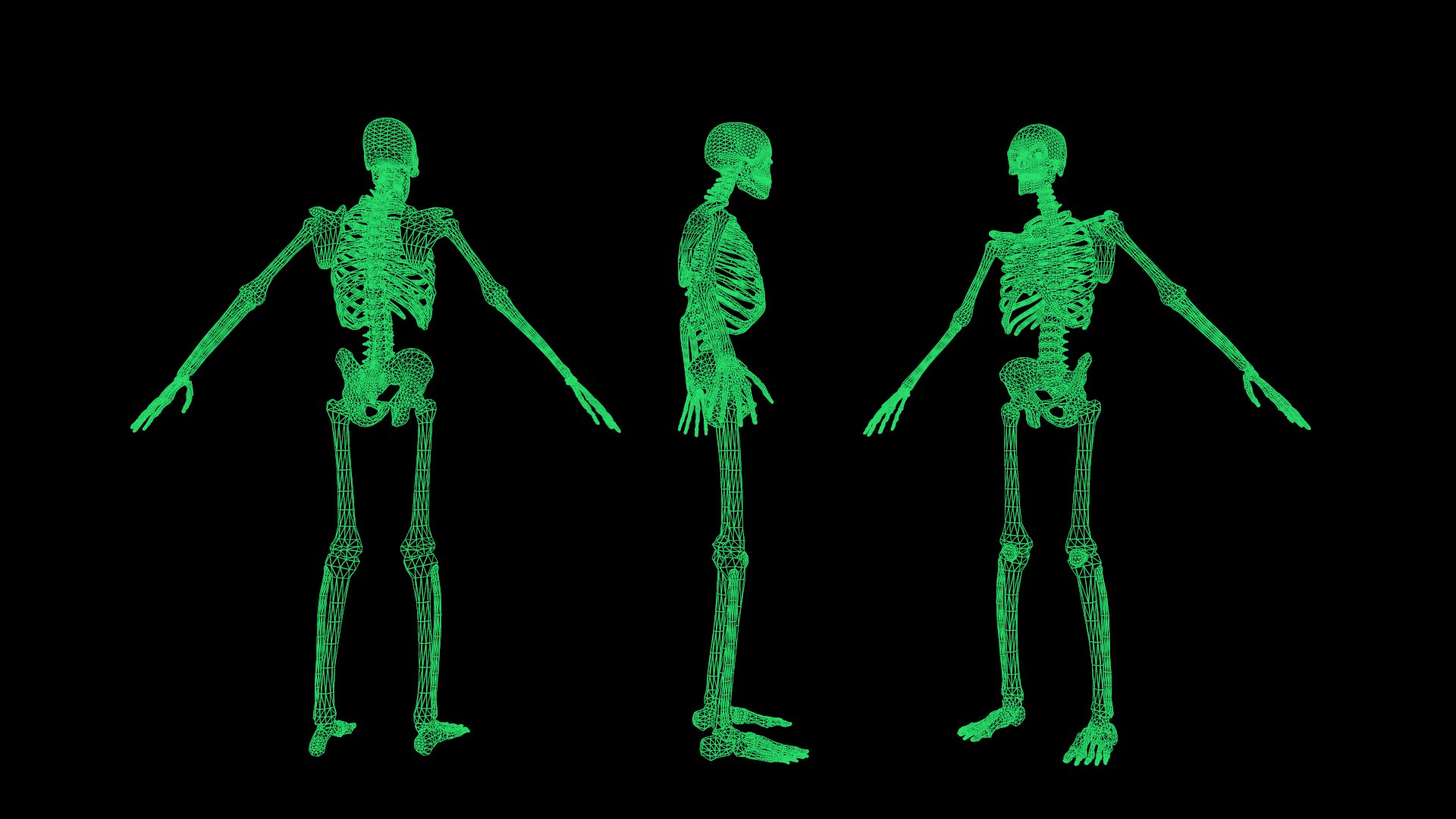 3D Skeleton 01 model https://p.turbosquid.com/ts-thumb/Ct/f0cb3e/7V/screenshot000/png/1733743277/1920x1080/fit_q87/3707306efb044fcafe72a1f18d5c5b0316220476/screenshot000.jpg
