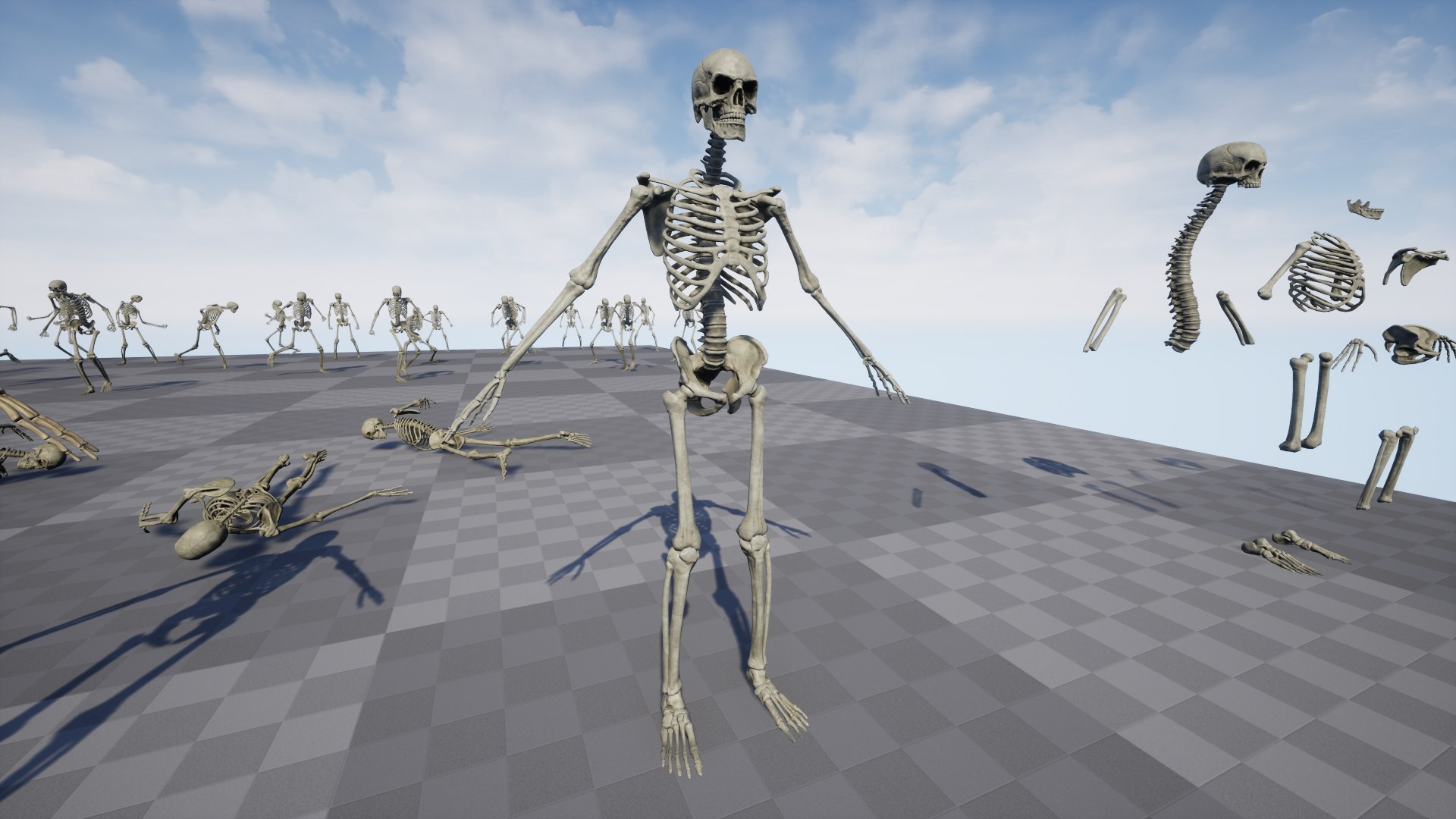 3D Skeleton 01 model https://p.turbosquid.com/ts-thumb/Ct/f0cb3e/Up/07/png/1733743314/1920x1080/fit_q87/d189d5a9f5327fb76d2f58a980b56db8a5d05218/07.jpg