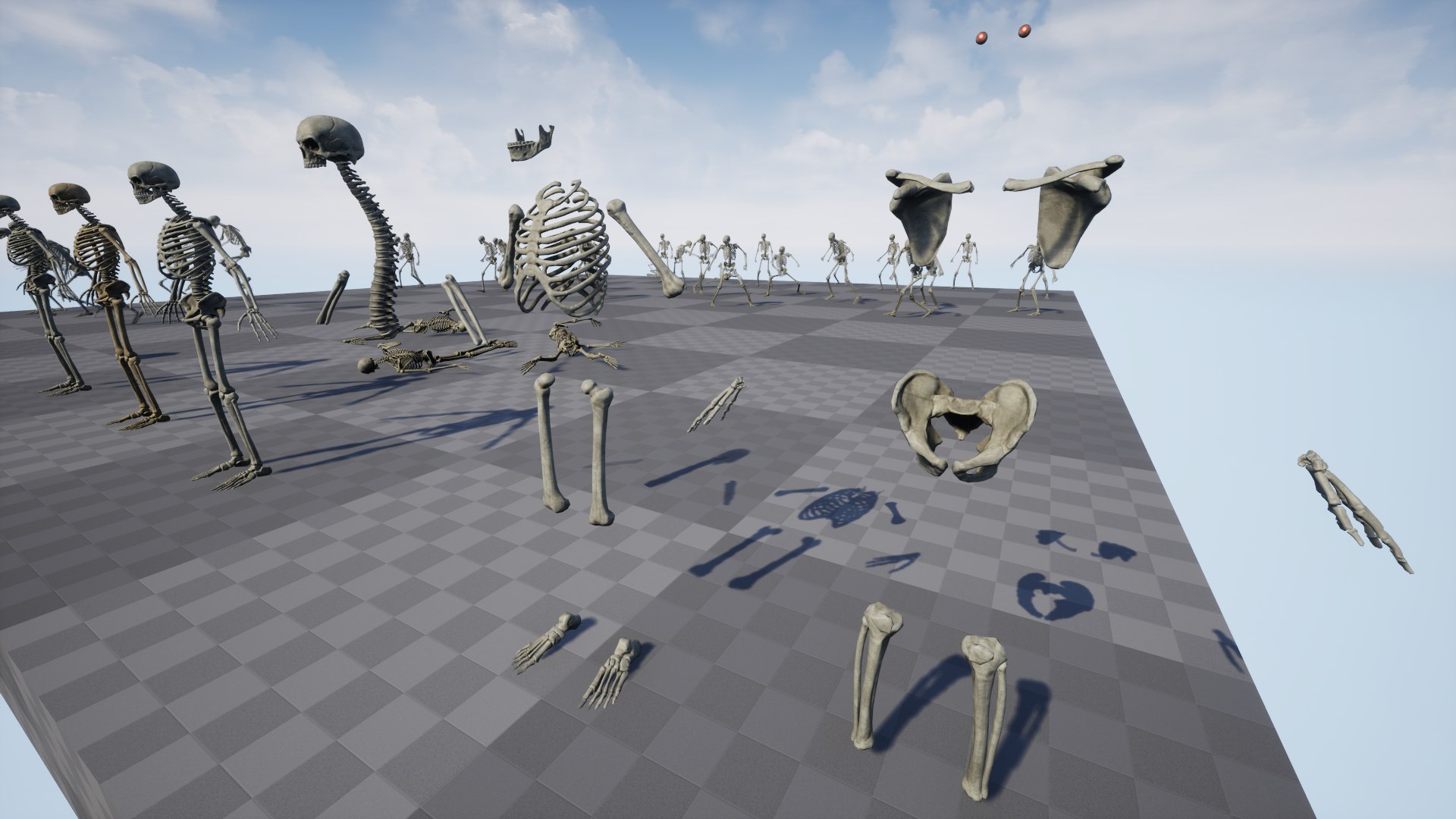 3D Skeleton 01 model https://p.turbosquid.com/ts-thumb/Ct/f0cb3e/rq/10/png/1733743315/1920x1080/fit_q87/7fd3f1c54e17959f6264a345606563c22890617f/10.jpg