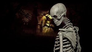 Skeleton 01