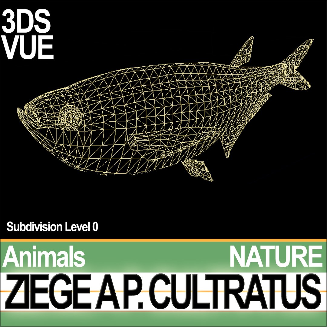 c4d ziege pelecus cultratus https://p.turbosquid.com/ts-thumb/Ct/j6fVSR/Gi/natureziegeaac2/jpg/1689611685/1920x1080/fit_q87/17bb7ab443cfa1cd1f281523d8885b792f01fdf5/natureziegeaac2.jpg