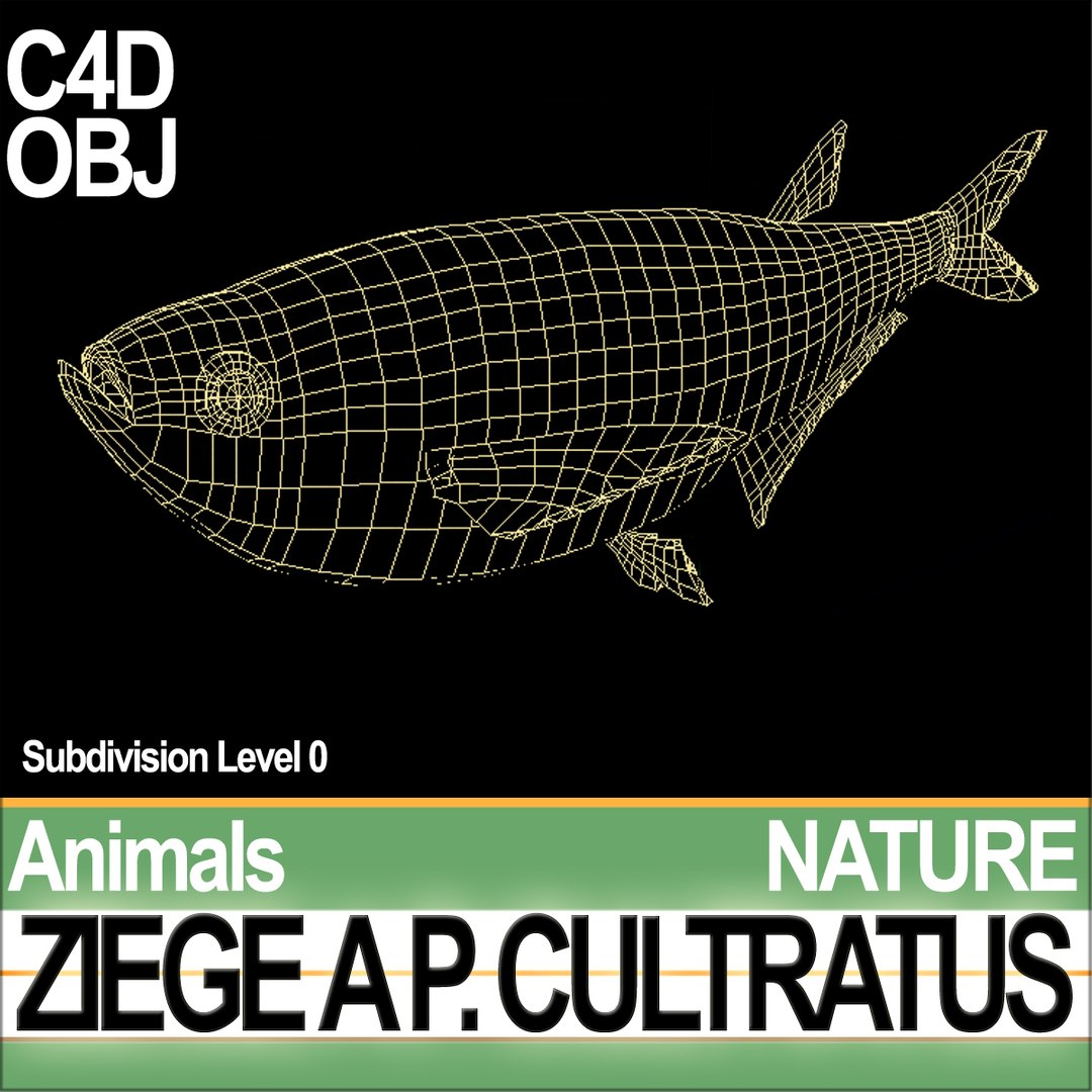 c4d ziege pelecus cultratus https://p.turbosquid.com/ts-thumb/Ct/j6fVSR/ML/natureziegeaac1/jpg/1689611671/1920x1080/fit_q87/5d4fa2090b68d1756fb053ed59a3e9c098ded728/natureziegeaac1.jpg