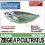 Ziege A