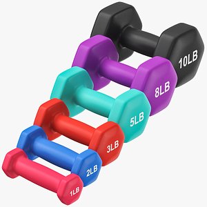 Dumbbell Set 02