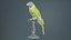 Pruimentop Bird Remastered