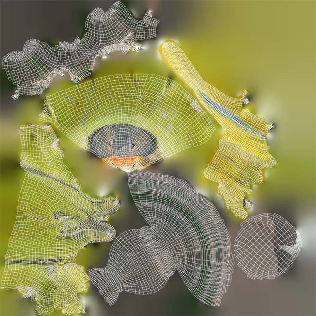 Pruimentop Bird Remastered 3D https://p.turbosquid.com/ts-thumb/Ct/vS406W/zb/pruimentop_bird_uv/jpg/1740070364/1920x1080/fit_q87/d85e1fb7ecbc2cf5e78bab67eaa901ee1c8ccc62/pruimentop_bird_uv.jpg
