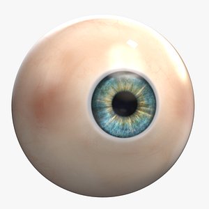 3D model Human Eye 001 PBR 8K