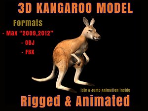 kangaroo animation 3d max