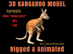 Kangaroo 3D Model Rigged Animated