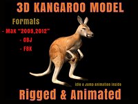 Kangaroo 3D Model Rigged Animated