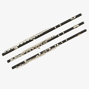 Flute Copper Black Silver 3D