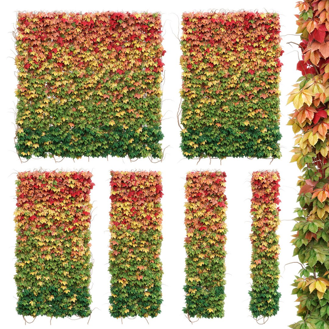 3D Model Wall Autumn Leaves Set - TurboSquid 1216230