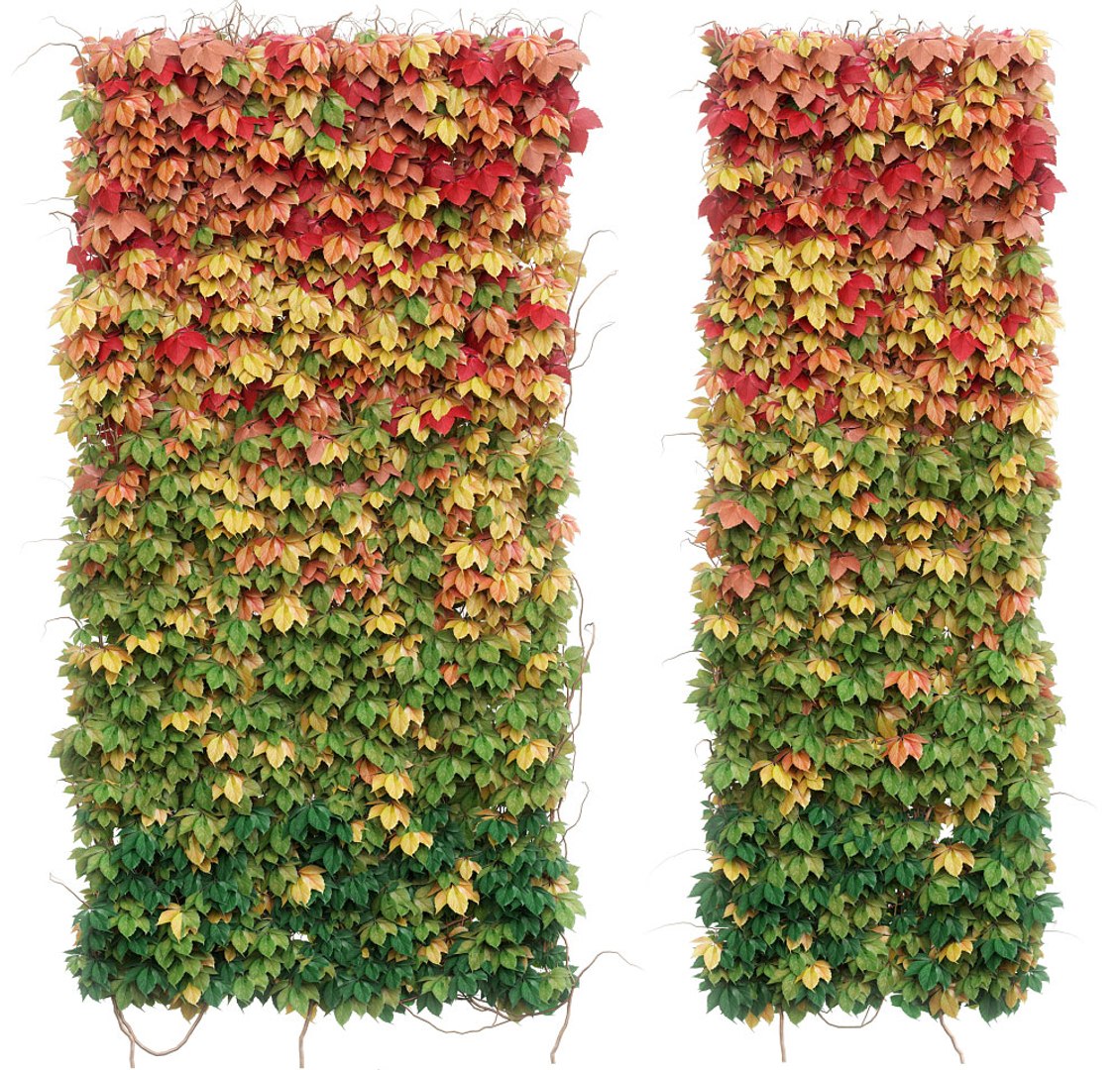 3D Model Wall Autumn Leaves Set - TurboSquid 1216230