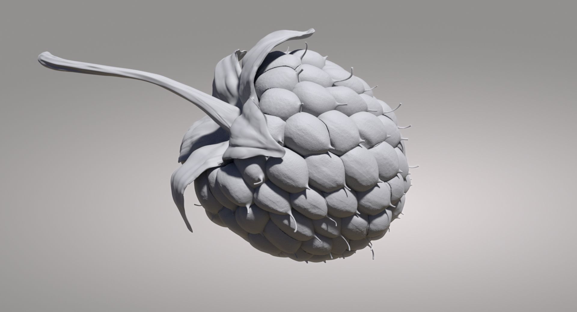 3D raspberry realistic real https://p.turbosquid.com/ts-thumb/Cu/IRv3gy/1FERLmgA/shade/jpg/1557140458/1920x1080/turn_fit_q99/8db0bc05b98d3e922aab514012f585e4488bffd2/shade-1.jpg