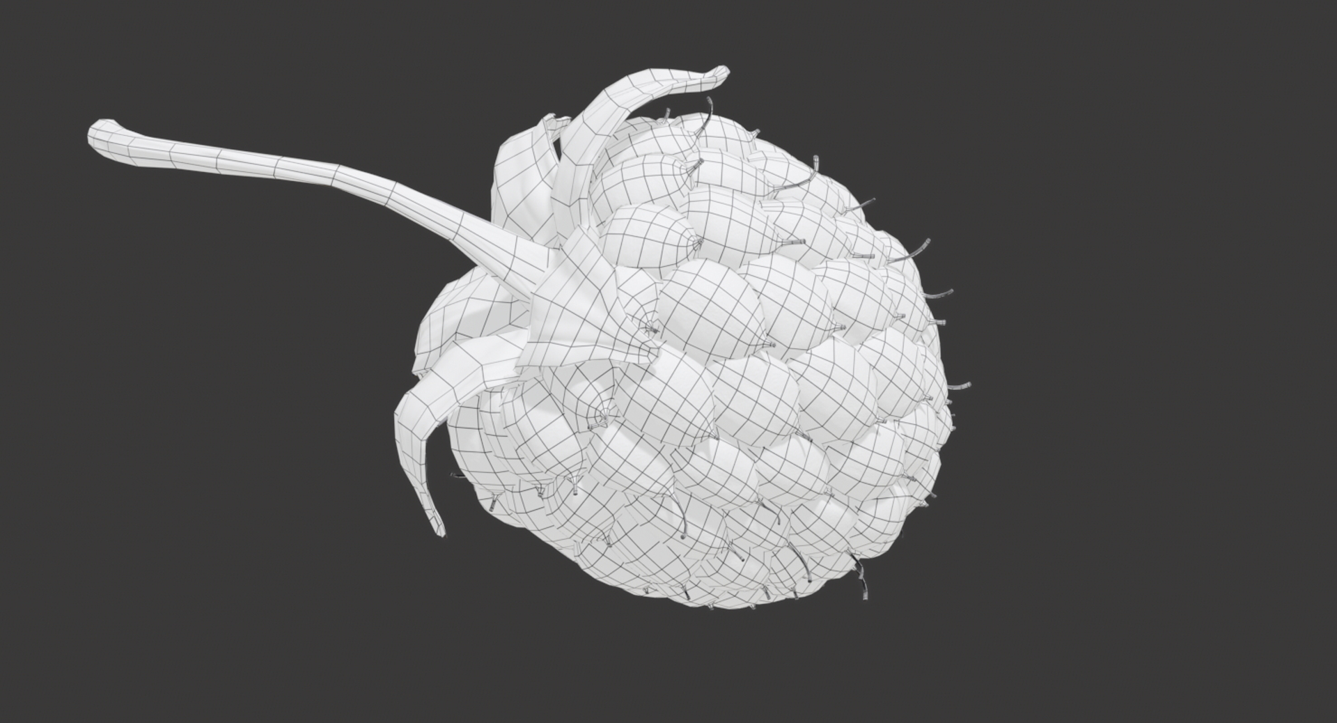 3D raspberry realistic real https://p.turbosquid.com/ts-thumb/Cu/IRv3gy/2cGoq9sB/wire/jpg/1557141534/1920x1080/turn_fit_q99/7054979285f79b4ddc14e3cdb7d909bc5843b524/wire-1.jpg