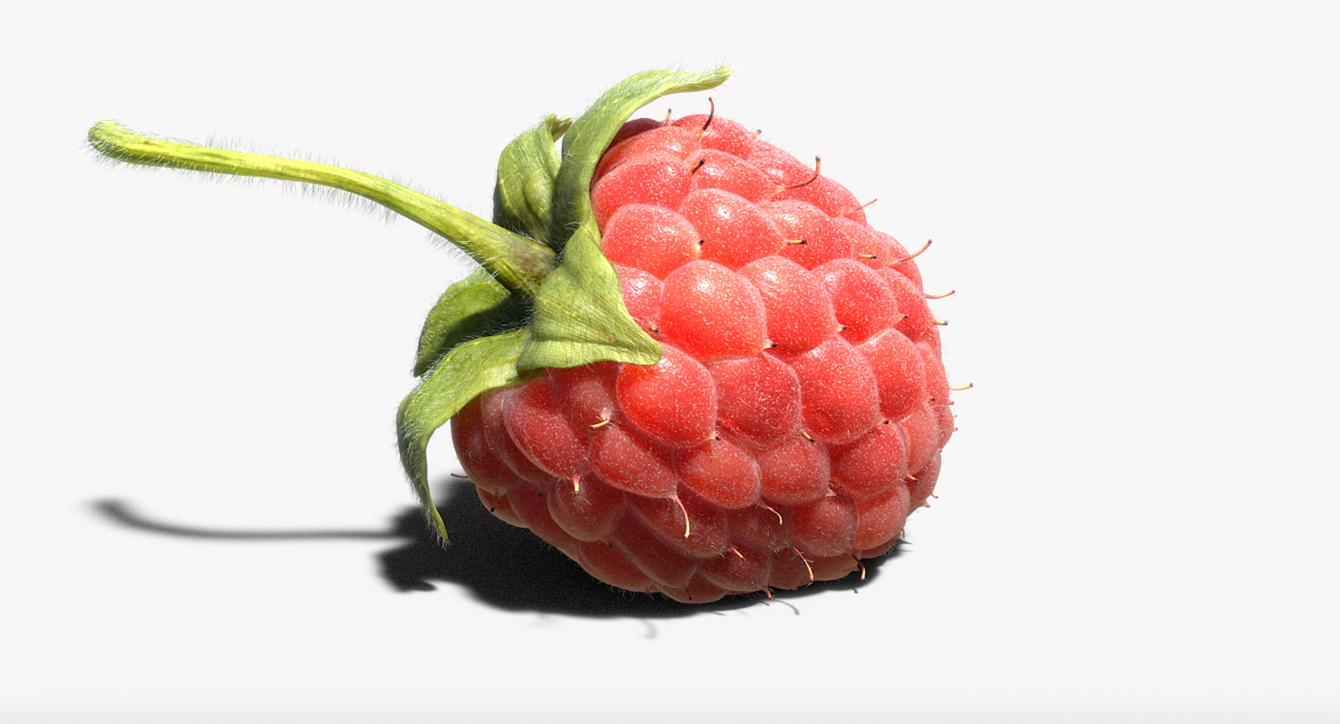 3D raspberry realistic real https://p.turbosquid.com/ts-thumb/Cu/IRv3gy/T5rj9rNR/beauty/jpg/1557136802/1920x1080/turn_fit_q99/212a52ebfbfa016f74fc47dc0acca5b2e3b2618f/beauty-1.jpg