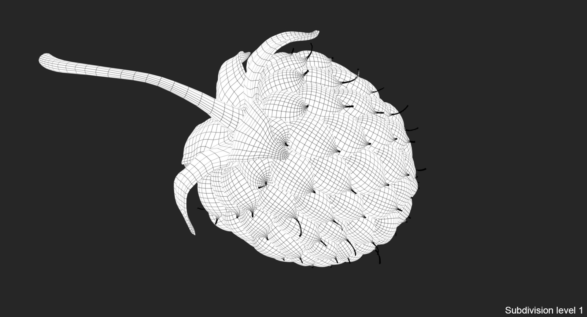 3D raspberry realistic real https://p.turbosquid.com/ts-thumb/Cu/IRv3gy/XaWE3G8P/wire01/jpg/1557140796/1920x1080/fit_q87/542af9977be68ca09b86f994942a06aa784c867c/wire01.jpg