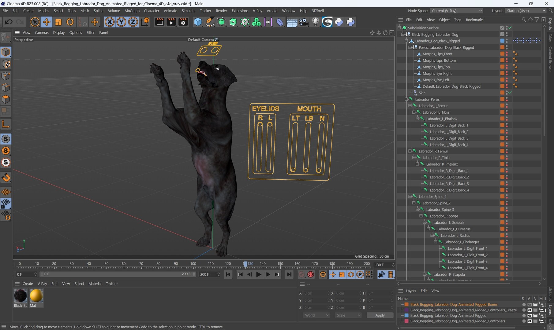 Black Begging Labrador Dog Animated Rigged for Cinema 4D 3D https://p.turbosquid.com/ts-thumb/Cu/KT0hey/ai/black_begging_labrador_dog_animated_rigged_for_cinema_4d_007/jpg/1753660429/1920x1080/fit_q87/ee008e9d92487fde5e3a700d4193c4cebedea0f4/black_begging_labrador_dog_animated_rigged_for_cinema_4d_007.jpg