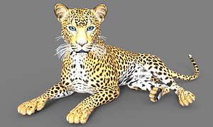 leopard 3D model