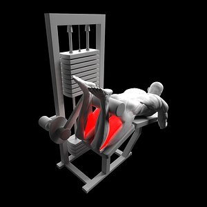 Lying Leg Curl 3D model