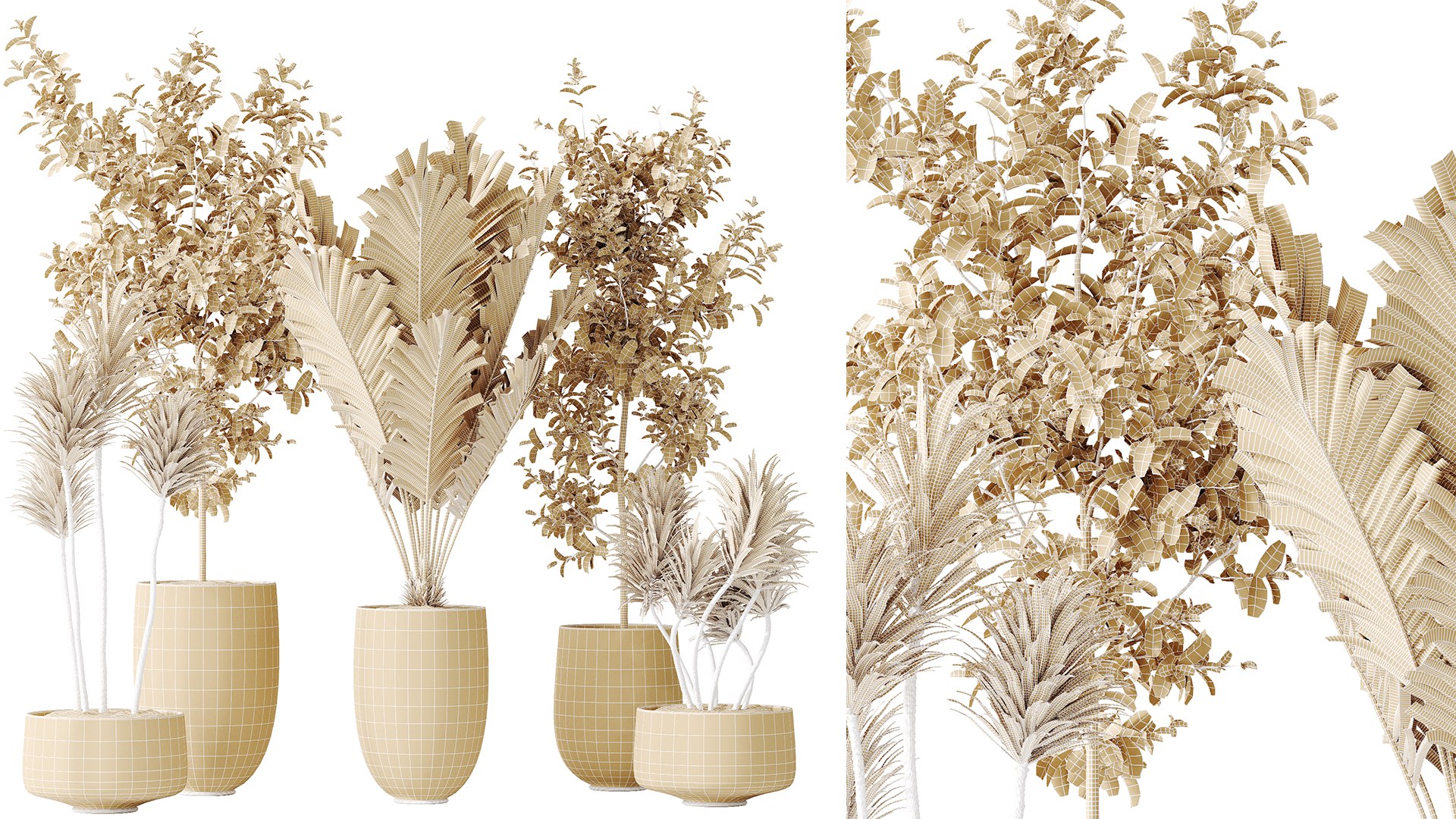 AV Indoor plants set 141 Beech Olea Europaea Olive and Aloifolia Rostrata Palm and Cyara Areca Palm model https://p.turbosquid.com/ts-thumb/Cu/hI3ko0/9Y/07/png/1734601868/1920x1080/fit_q87/661f00366d1ec0c80b8d8efbabc886c1f235cb82/07.jpg