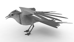 3D model Pigeon