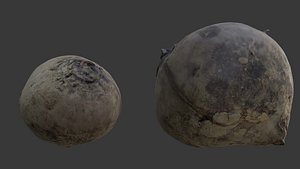 Large Organic Gourd Scan