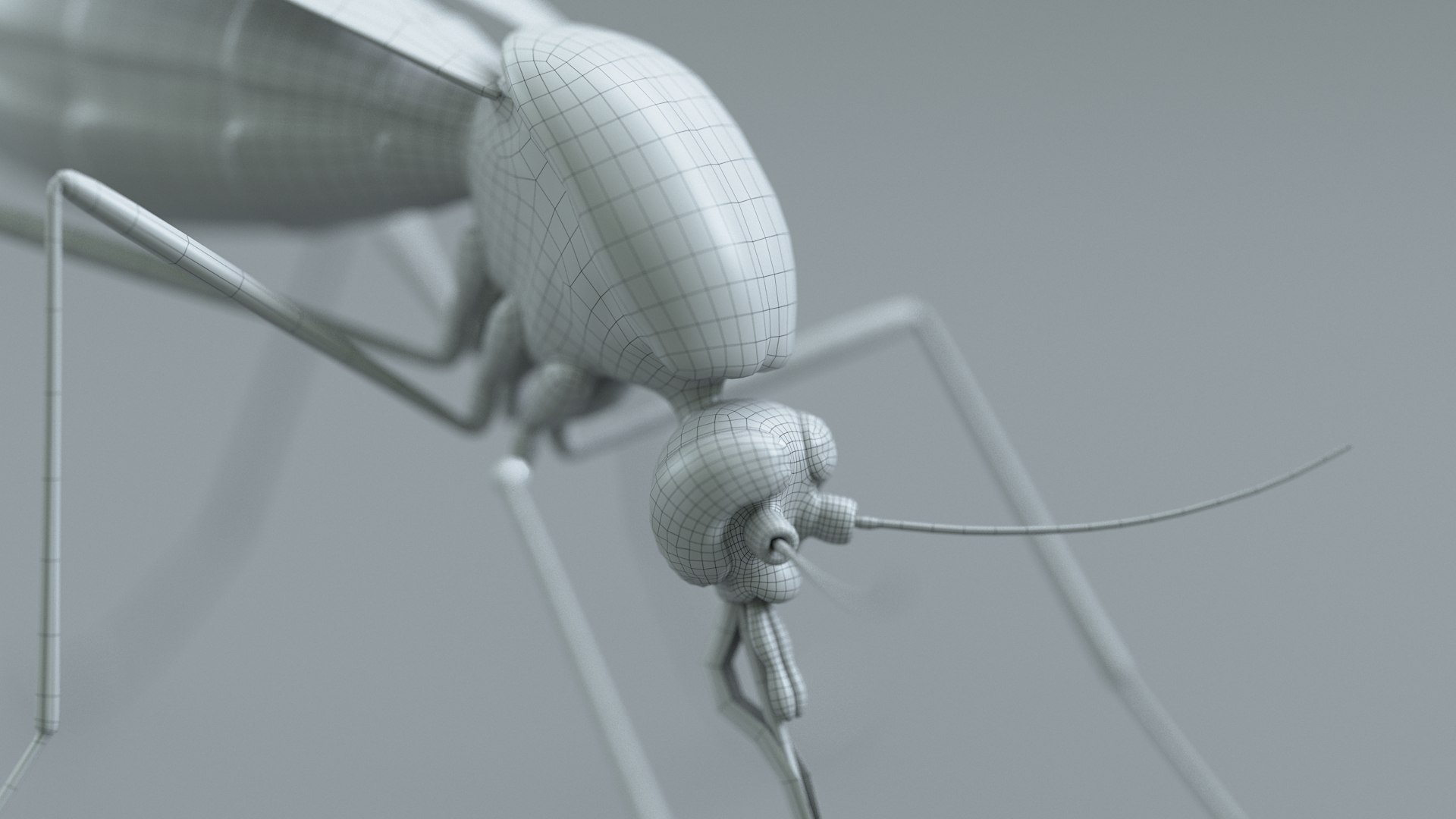 Mosquito Rigged Xgen 3D model https://p.turbosquid.com/ts-thumb/Cu/nJHIE2/23/mosquito_33/jpg/1727851296/1920x1080/fit_q87/803c0bb806465e1d19f59734729431fe129056e2/mosquito_33.jpg