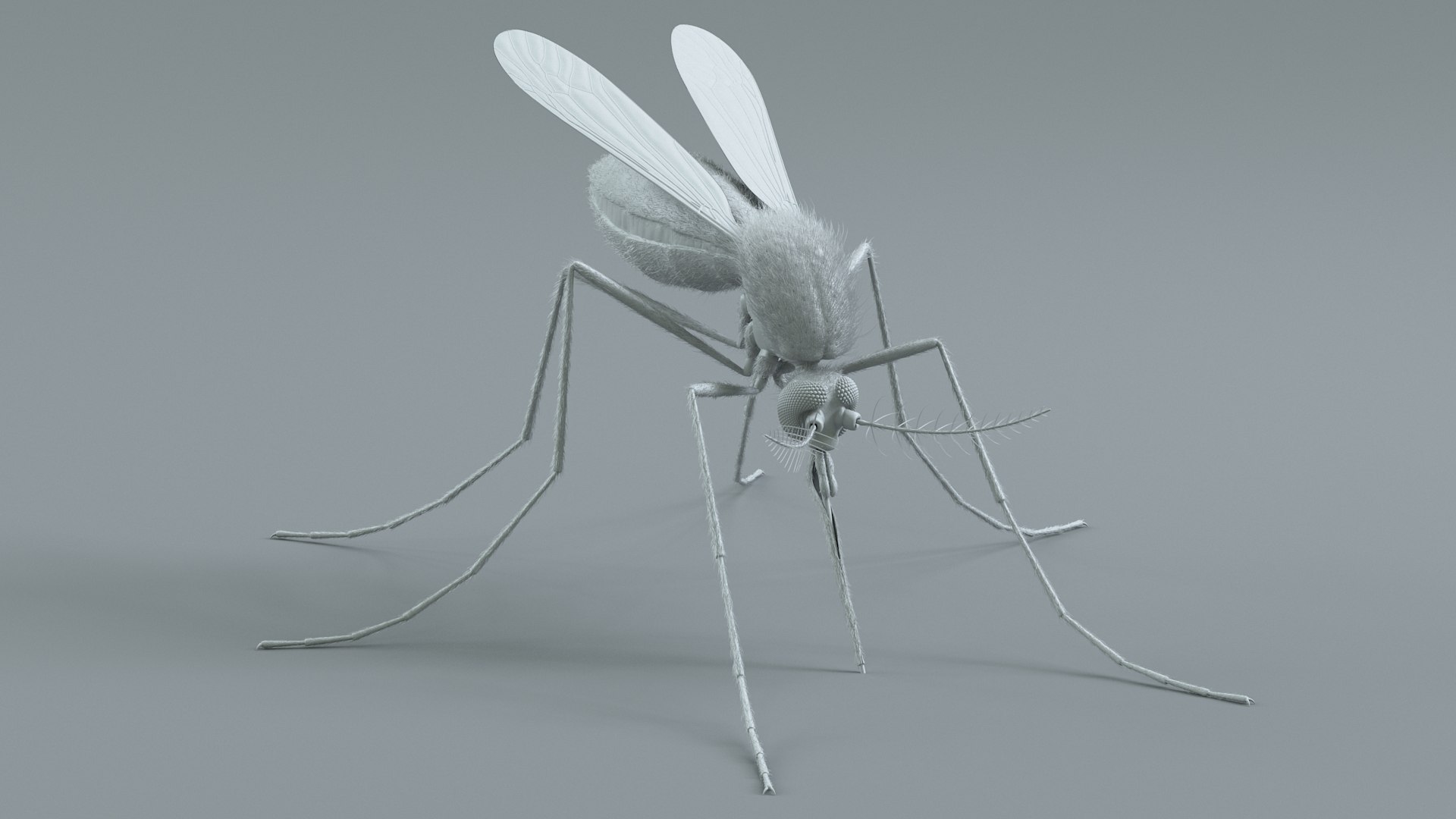 Mosquito Rigged Xgen 3D model https://p.turbosquid.com/ts-thumb/Cu/nJHIE2/IZ/mosquito_21/jpg/1727851245/1920x1080/fit_q87/e8cd230ade5051c3e675b061274ea09652e97a4f/mosquito_21.jpg