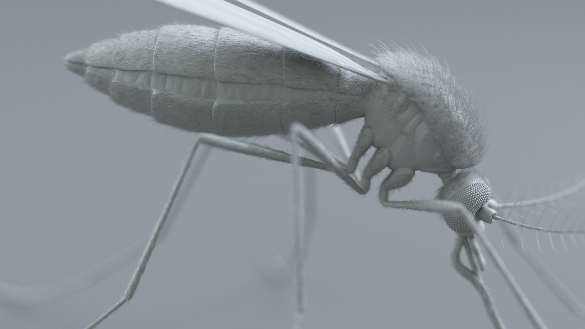 Mosquito Rigged Xgen 3D model https://p.turbosquid.com/ts-thumb/Cu/nJHIE2/XI/mosquito_23/jpg/1727851248/1920x1080/fit_q87/cb97062457d2caf2cb5e78f18ad7802f46deddd5/mosquito_23.jpg