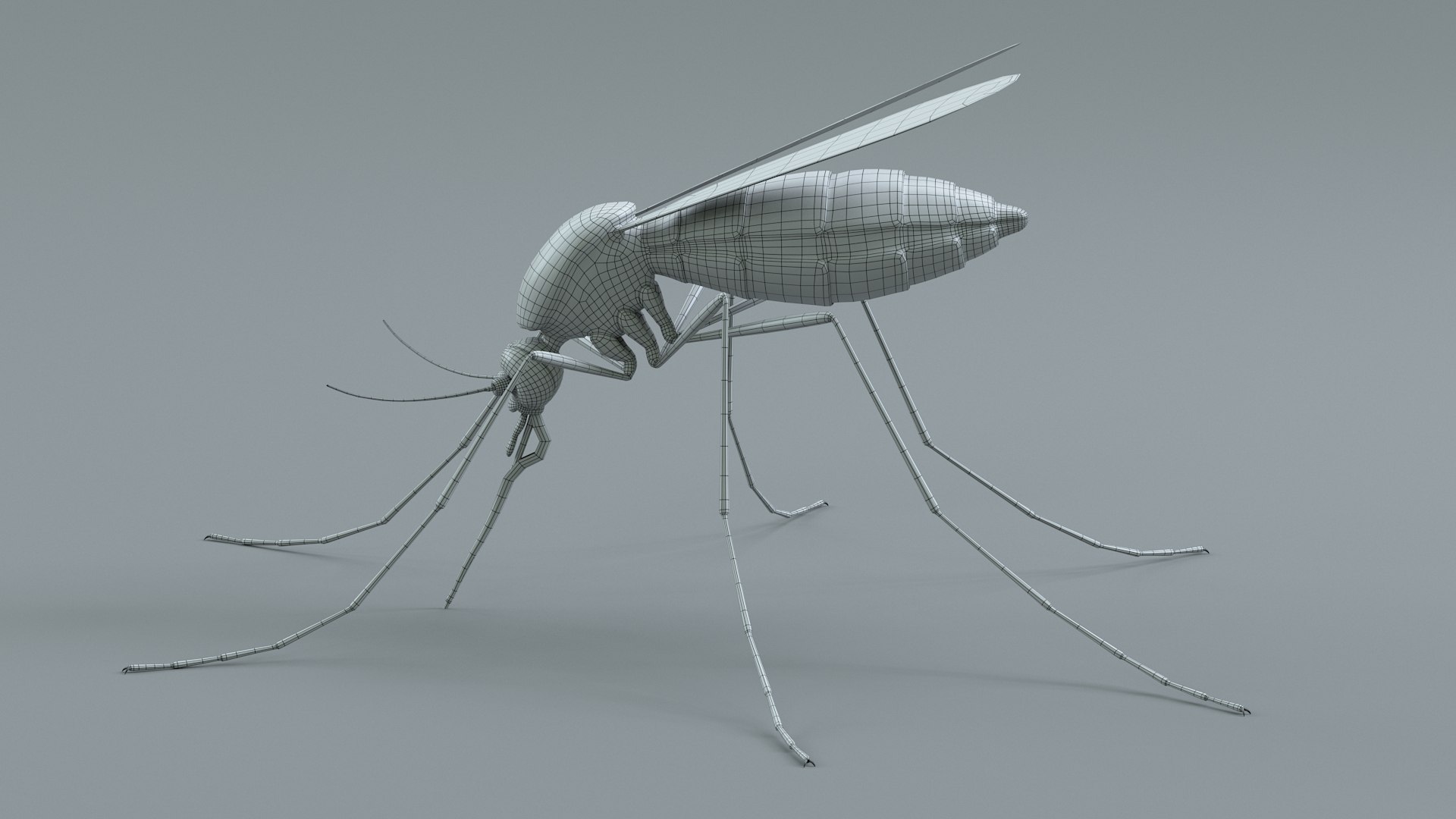 Mosquito Rigged Xgen 3D model https://p.turbosquid.com/ts-thumb/Cu/nJHIE2/XY/mosquito_29/jpg/1727851294/1920x1080/fit_q87/ca284b757c46d44b7c1fdef2f7120e517dca8dd3/mosquito_29.jpg