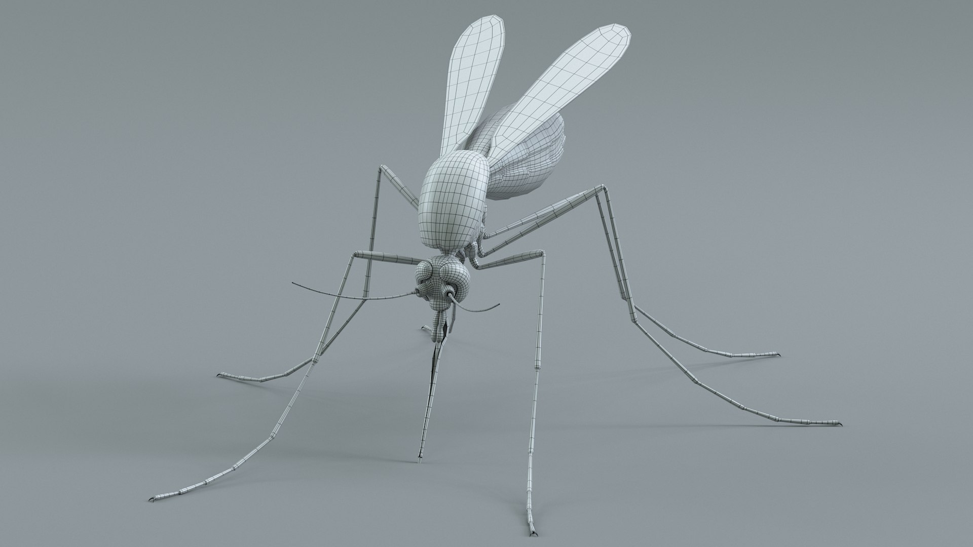 Mosquito Rigged Xgen 3D model https://p.turbosquid.com/ts-thumb/Cu/nJHIE2/ZK/mosquito_31/jpg/1727851295/1920x1080/fit_q87/5280f6c9a7baafa7293b5dc80e9134084f3d0f8b/mosquito_31.jpg