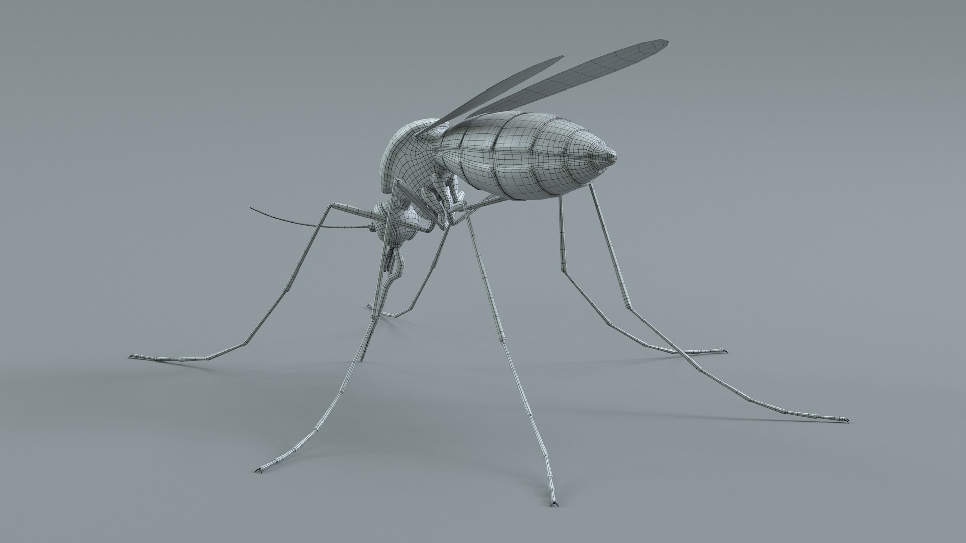 Mosquito Rigged Xgen 3D model https://p.turbosquid.com/ts-thumb/Cu/nJHIE2/g5/mosquito_28/jpg/1727851291/1920x1080/fit_q87/4321a7eab4d4a5232234be7d15c3a5dea7ea3c37/mosquito_28.jpg