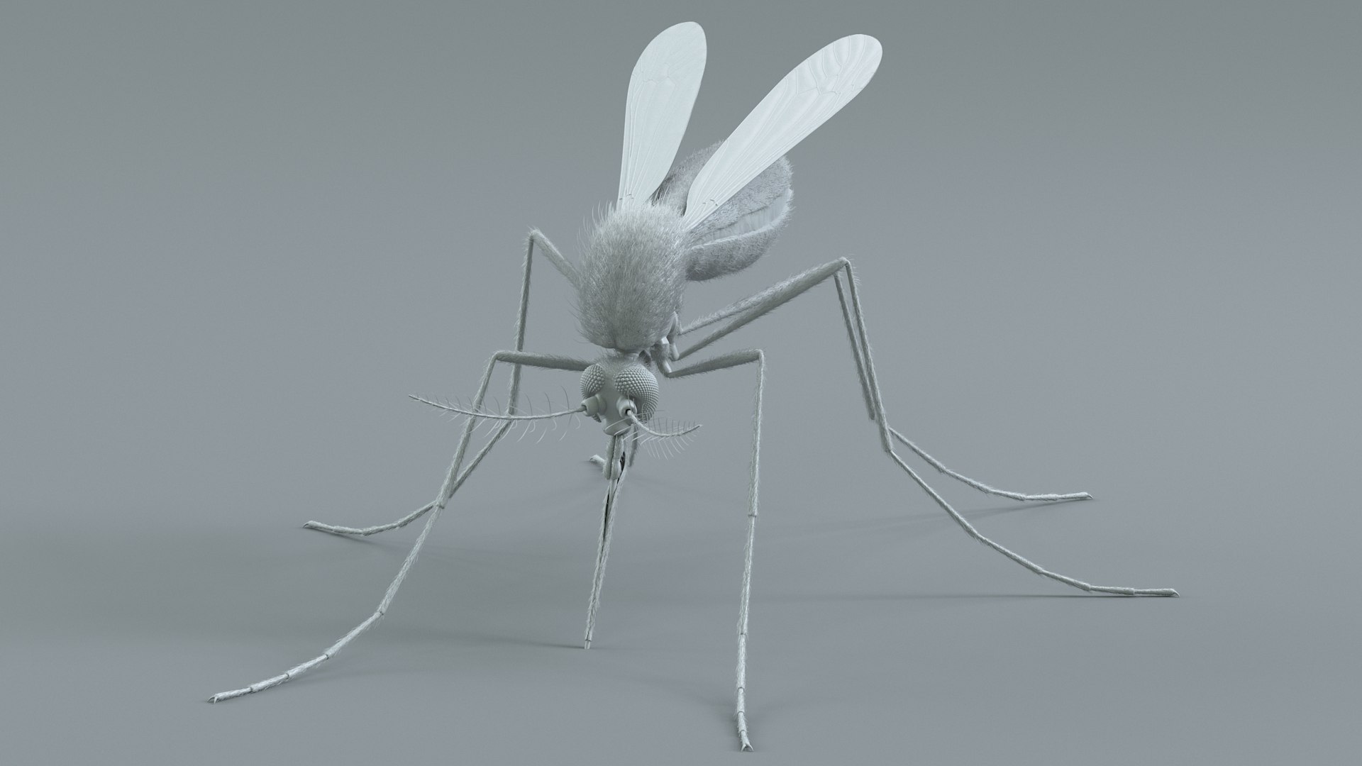 Mosquito Rigged Xgen 3D model https://p.turbosquid.com/ts-thumb/Cu/nJHIE2/lg/mosquito_20/jpg/1727851244/1920x1080/fit_q87/e9bc76526c9e4d73f4ad56eb044074d7b93af27e/mosquito_20.jpg