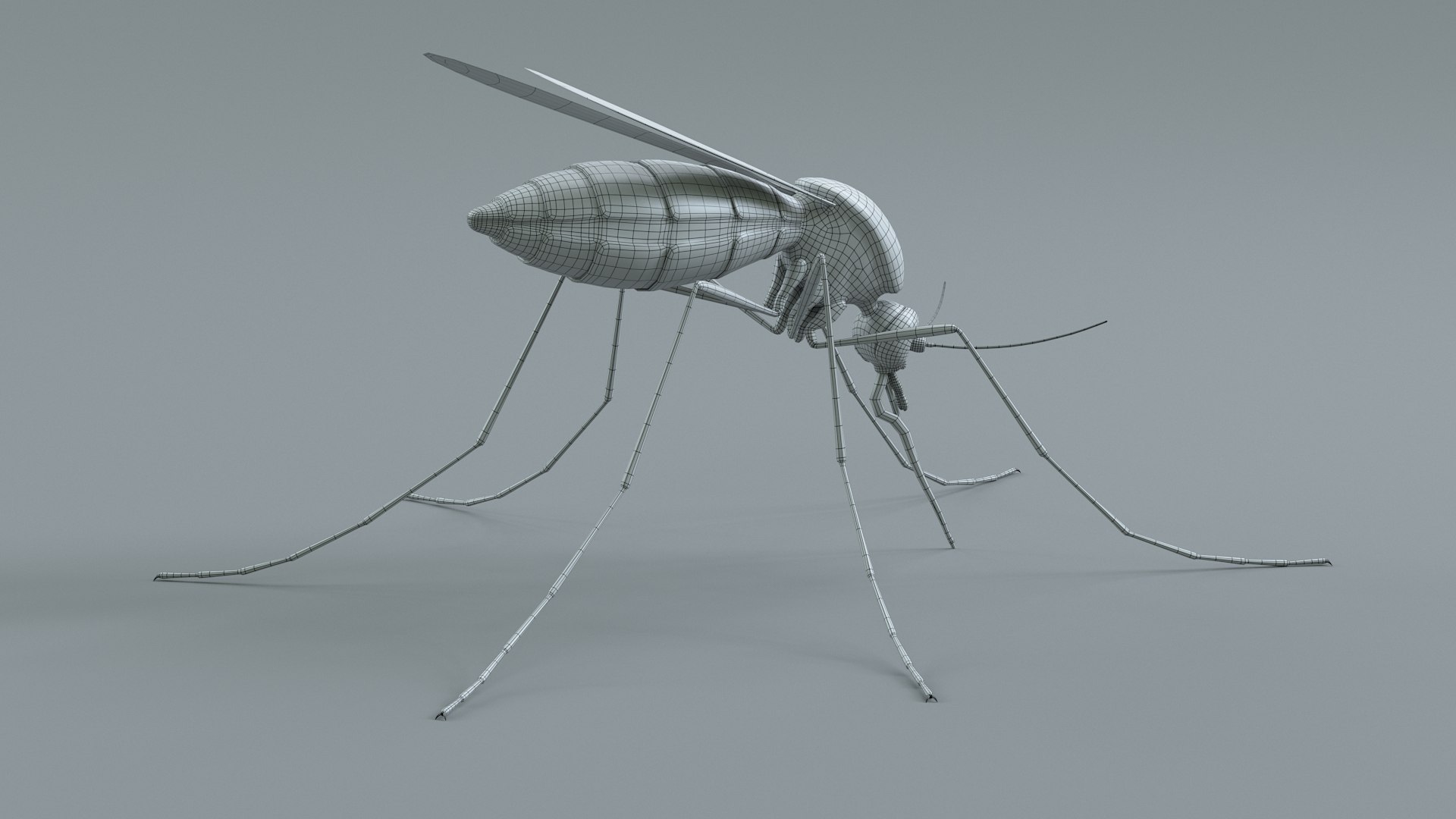 Mosquito Rigged Xgen 3D model https://p.turbosquid.com/ts-thumb/Cu/nJHIE2/nY/mosquito_26/jpg/1727851291/1920x1080/fit_q87/5ff8773b661ada87f7a6ced9d7871a577fa935c8/mosquito_26.jpg