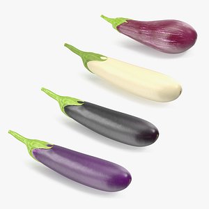 3D model Eggplants Collection
