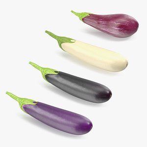 Eggplants Collection