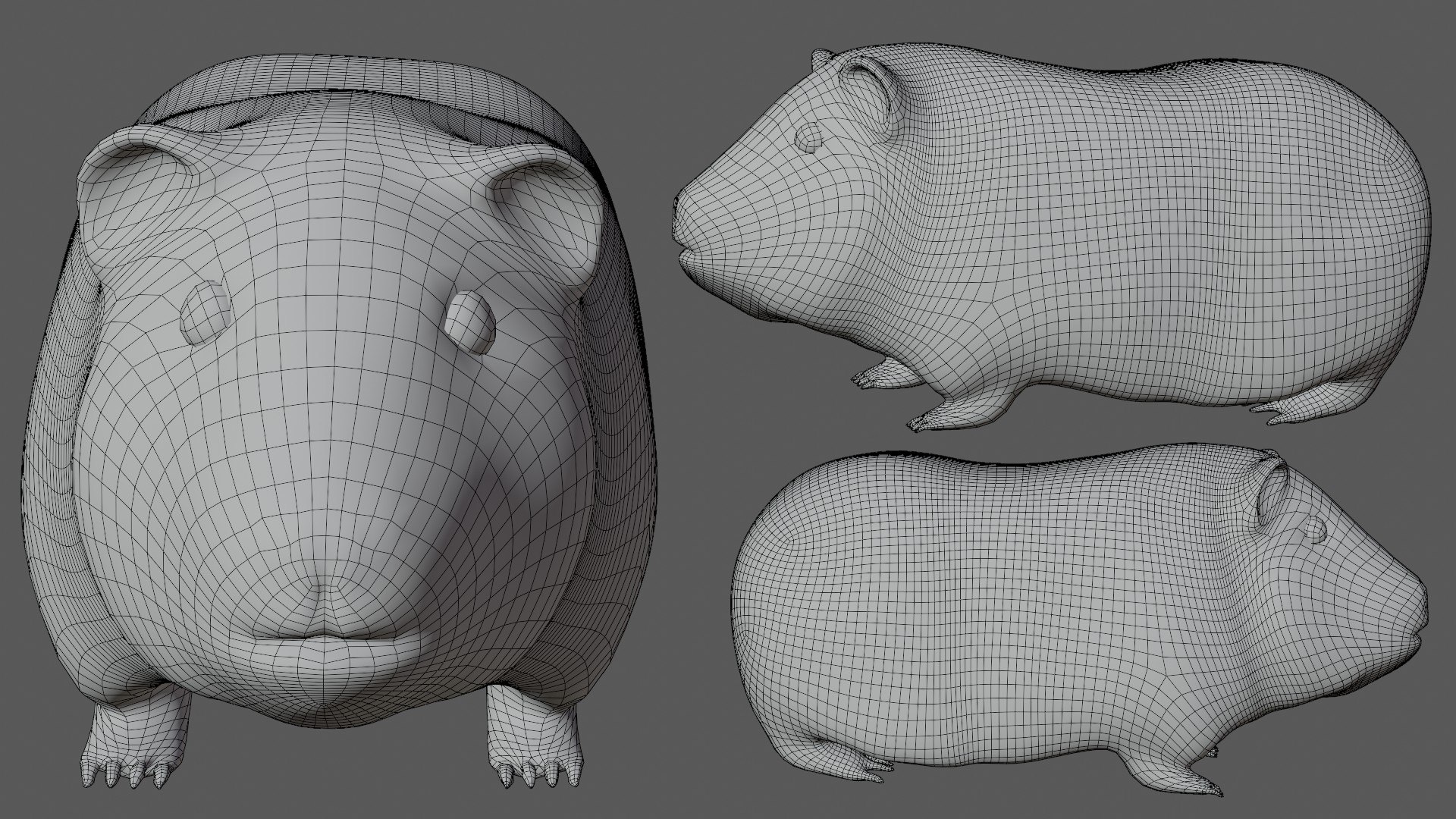 Fully Rigged Low Poly Hamster 3D - TurboSquid 1724852